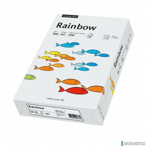 Papier xero kolorowy A4 160g j.szary R93 RAINBOW 88042791/84 (X)