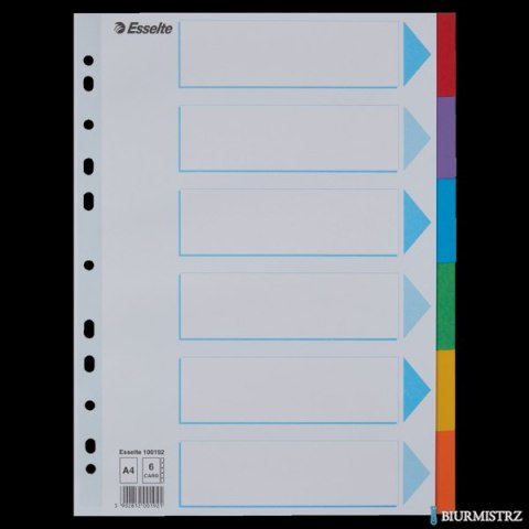 Przekładki karton A4 6 kart ESSELTE 100192 kolorowe z kartą opisową