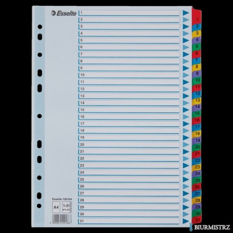Przekładki kartonowe MYLAR A4 1-31 100164 białe ESSELTE