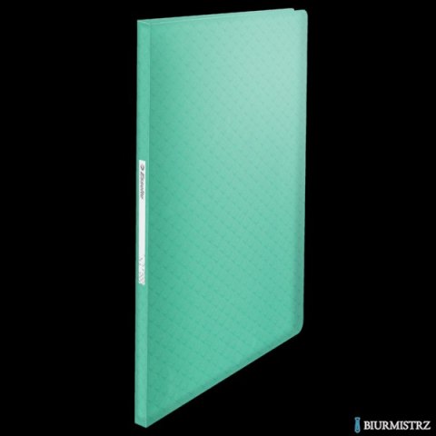 Album ofertowy Esselte ColourBreeze, z 60 koszulkami, zielony 626233 Esselte
