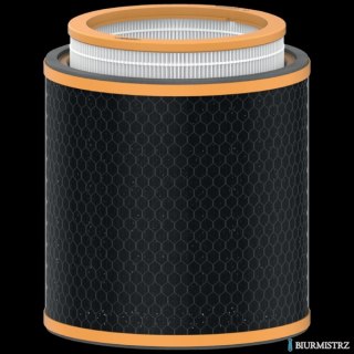 Filtr zapachów HEPA (3 w 1) Leitz TruSens Z-3000 2415125