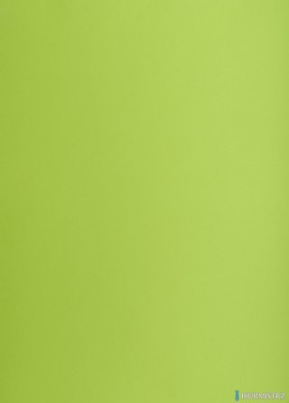 Karton kolorowy Oxford B2 225g 25ark nr.66 j.zielony 400150337 TOP-2000