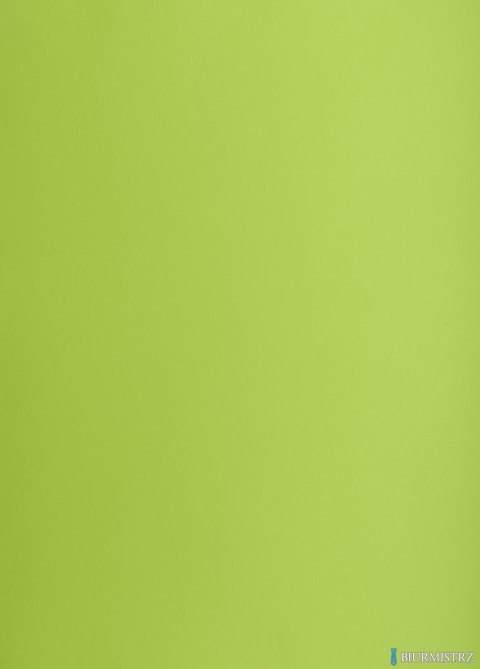 Karton kolorowy Oxford B2 225g 25ark nr.66 j.zielony 400150337 TOP-2000