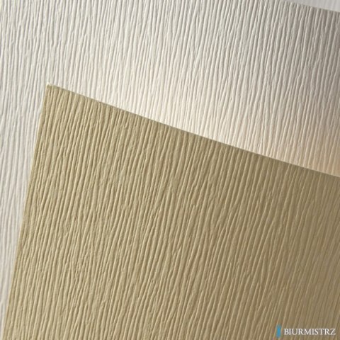 Karton ozdobny Kora kremowy 230g A4 20ark. 201502 GALERIA PAPIERU