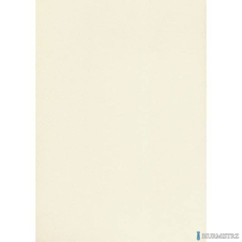 Karton wizytówkowy A4 W20 tłoczony ecrui (20 arkuszy) 246g KRESKA 910