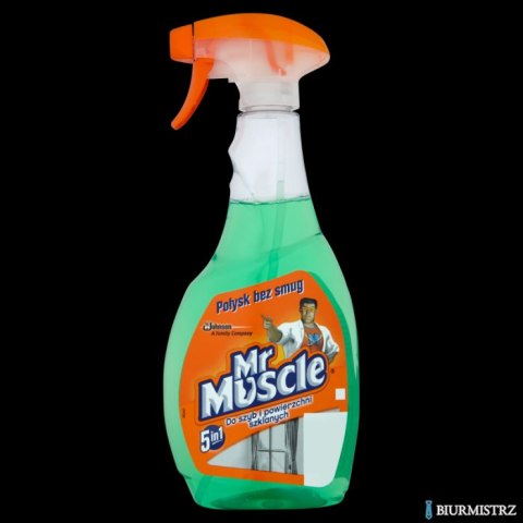 MR.MUSCLE płyn do szyb 500ml z rozpylaczem zielony *139266