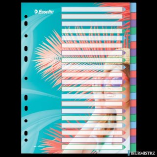 Przekładki ColourBreeze PP A4, 20 przekładek Esselte 628502