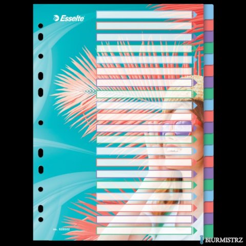 Przekładki ColourBreeze PP A4, 20 przekładek Esselte 628502