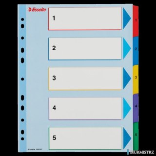 Przekładki kartonowe MYLAR A4 MAXI 1-5 ESSELTE 100207
