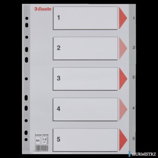 Przekładki plastikowe szare PP A4 1-5 100103 numeryczne ESSELTE
