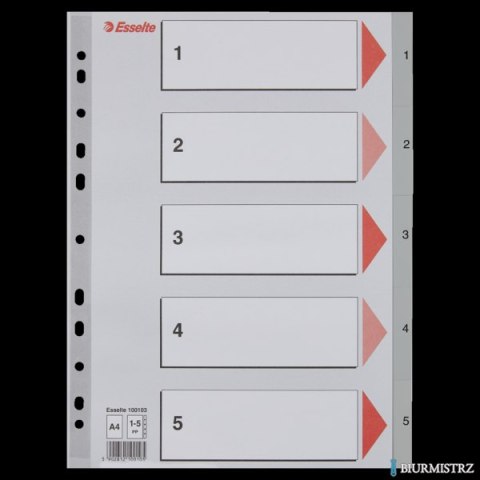 Przekładki plastikowe szare PP A4 1-5 100103 numeryczne ESSELTE