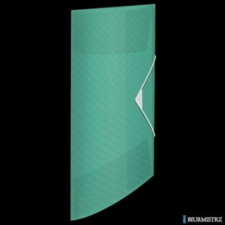 Teczka z gumką Esselte ColourBreeze, 15 mm, zielony 626223