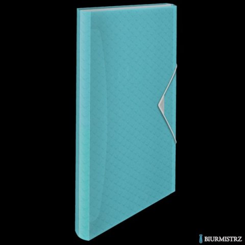 Teczka z przegródkami Esselte Colour Breeze, 6 przegródek, niebieski 626252