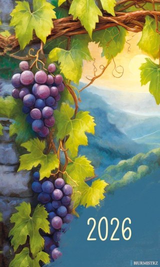 Terminarz Mini 87x145mm 2026 Michalczyk i Prokop T-MINI-08 KALENDARZ