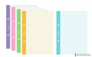 Wkład do segregatora A5 50k kolorowy margines kratka WKDOSEA5F Interdruk