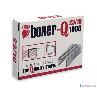 Zszywki SAX 23/10 BOXER