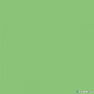 Karton kolorowy Creatinio A1 160g 25ark nr.66 jasnozielony 400149557 TOP-2000