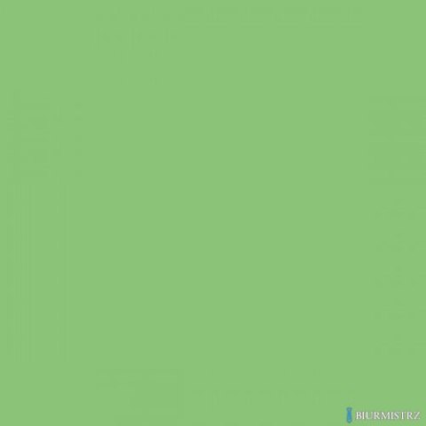 Karton kolorowy Creatinio A1 160g 25ark nr.66 jasnozielony 400149557 TOP-2000
