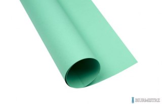 Karton kolorowy Oxford B2 225g 25ark nr.68 zielony 400150338 TOP-2000