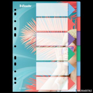 Przekładki ColourBreeze PP A4, 6 przekładek Esselte 628499