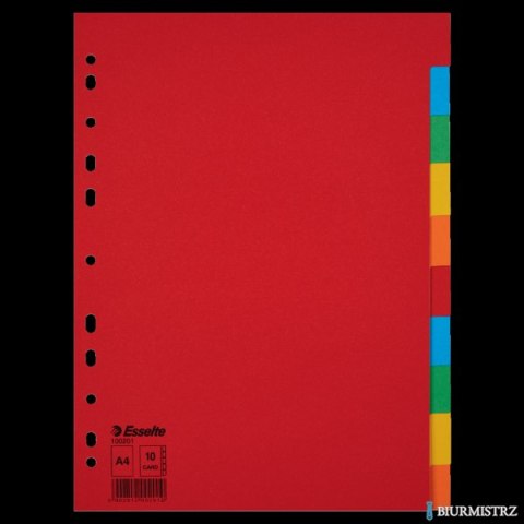 Przekładki karton A4 10 kart ESSELTE 100201 kolorowe bez karty opisowej