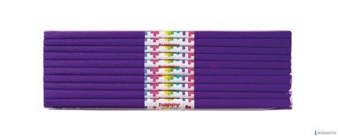 Bibuła marszczona 50x200cm, jagodowa, 10 szt., HAPPY COLOR, HA 5020-63