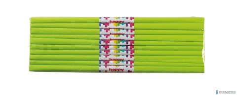 Bibuła marszczona 50x200cm, seledynowy, 10 szt., HAPPY COLOR, HA 5020-50