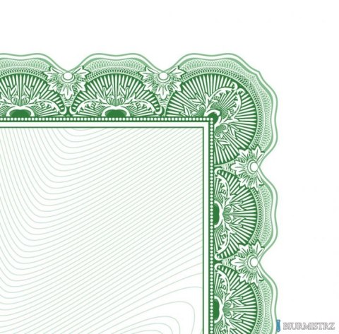 Dyplom Arnika 170g A4 25ark. 210417 GALERIA PAPIERU