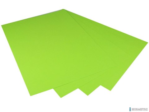 Karton kolorowy Creatinio A1 160g 25ark nr.68W jasnozielony 400149559 TOP-2000