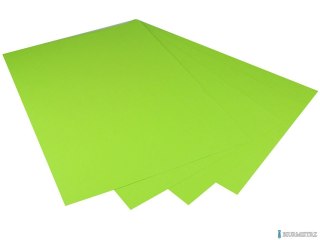 Karton kolorowy Oxford B1 225g 25ark nr.66 j.zielony 400150267 TOP-2000