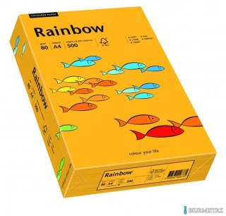 Papier xero kolorowy RAINBOW jasnopomarańczowy R22 88042409
