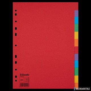 Przekładki karton A4 12 kart ESSELTE 100202 kolorowe bez karty opisowej