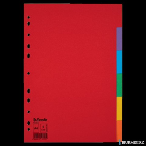 Przekładki karton A4 6 kart ESSELTE 100200 kolorowe bez karty opisowej