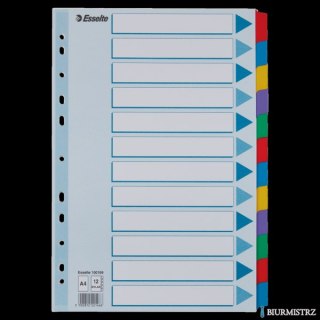 Przekładki, kolorowy karton, karta opisowa Mylar A4, Esselte, 12 kart, , 100169