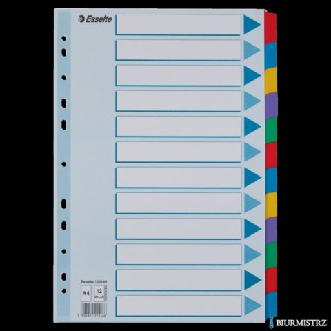 Przekładki, kolorowy karton, karta opisowa Mylar A4, Esselte, 12 kart, , 100169