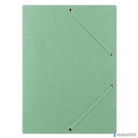 Teczka pre.z g.A4 ziel.8643080 -06 DONAU