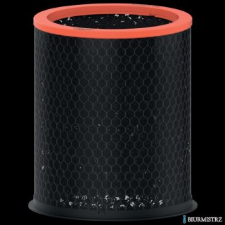 Wymienny węglowy filtr dla właścicieli zwierząt Leitz TruSens Z-3000 2415132