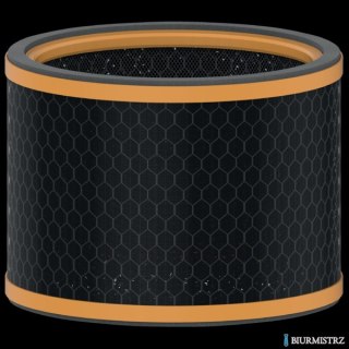 Wymienny węglowy filtr zapachów Leitz TruSens Z-2000 2415124