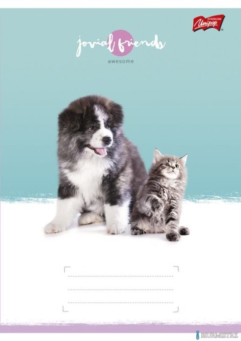 Zeszyt A5 32k linia dwukolo.L mix dziewczęcy laminowany UNIPAP *6991