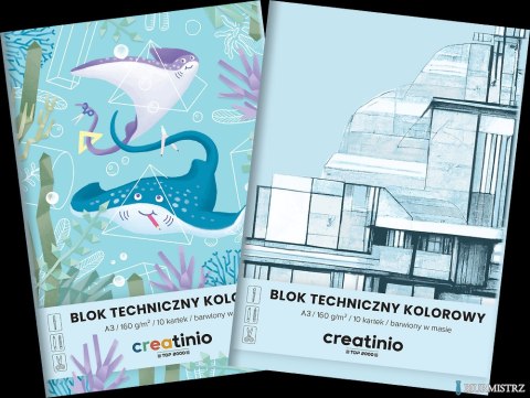 Blok techniczny Top 2000 Creatinio A3 10 kartek 160 g kolor 400176680