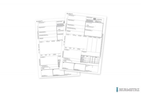 DD-1 Dowód dostawy A5 80k. wielokopia EMERSON aedd-a5wk058