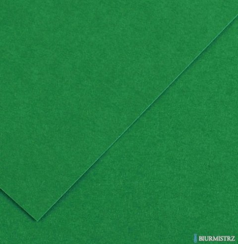 Karton kolorowy Oxford B1 225g 25ark nr.63 c.zielony 400150269 TOP-2000