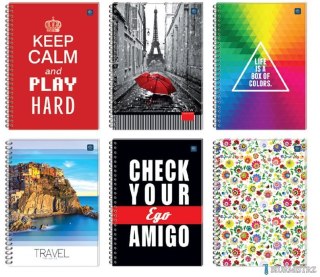 Kołobrulion A4 160k kratka z kolorowymi marginesami INTERDRUK