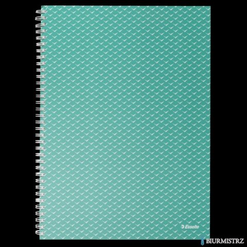 Kołonotatnik ColourBreeze A4, w kratkę, zielony Esselte 628477