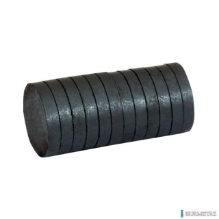 Magnesy 30mm x 4mm, bez obudowy, 12 szt GRAND 130-1788