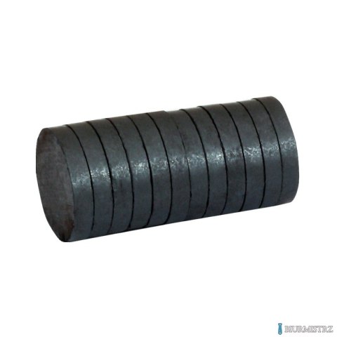 Magnesy 30mm x 4mm, bez obudowy, 12 szt GRAND 130-1788