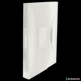 Teczka z przegródkami ESSELTE VIVIDA biała 624018