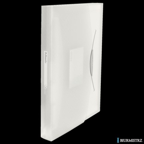 Teczka z przegródkami ESSELTE VIVIDA biała 624018