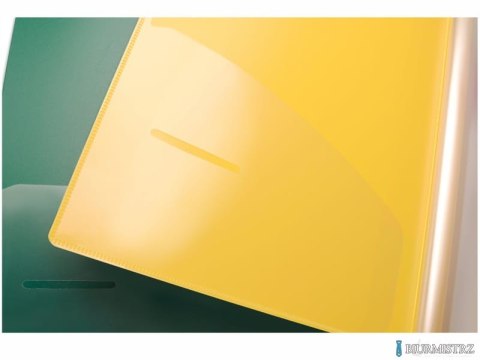 Album ofertowy SIDE, 20 kieszeni żółty DCF642-G PENTEL (X)