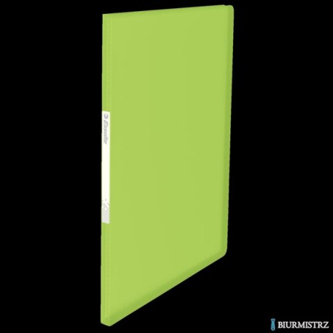 Album ofertowy VIVIDA A4 20kieszeni zielony 623994 ESSELTE